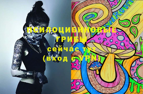 прущий лед Белоозёрский