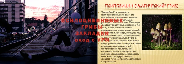 кокаин премиум Белокуриха