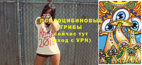 прущий лед Белоозёрский