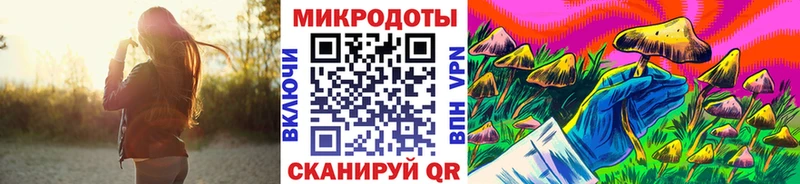 Галлюциногенные грибы GOLDEN TEACHER  сайты даркнета телеграм  Новопавловск 